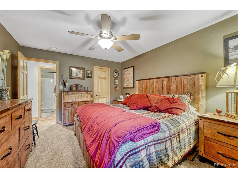 744 Whale Drive Lake George, CO 80827