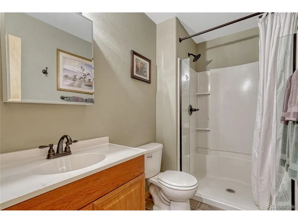 744 Whale Drive Lake George, CO 80827