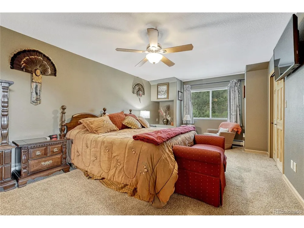 744 Whale Drive Lake George, CO 80827
