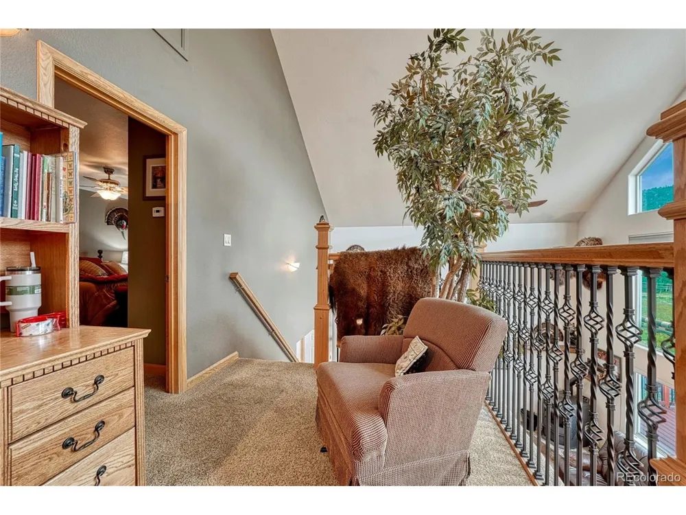 744 Whale Drive Lake George, CO 80827