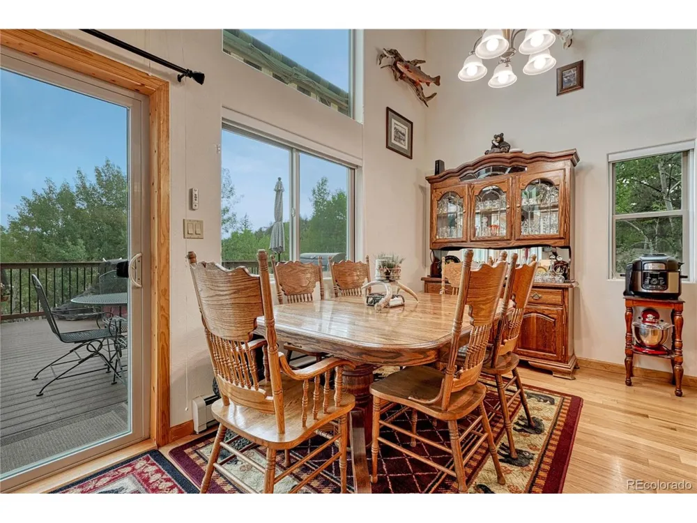 744 Whale Drive Lake George, CO 80827