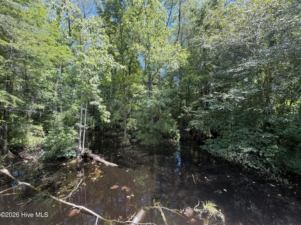 6514 Princess Ann Road Evergreen, NC 28438