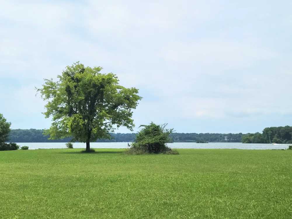 110 Meadowlake Ct Hendersonville, TN 37075