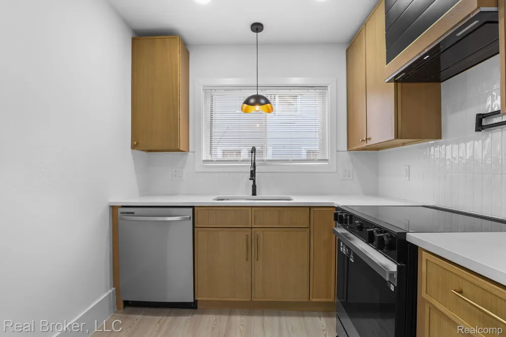 187 Leroy Street Ferndale City, MI 48220