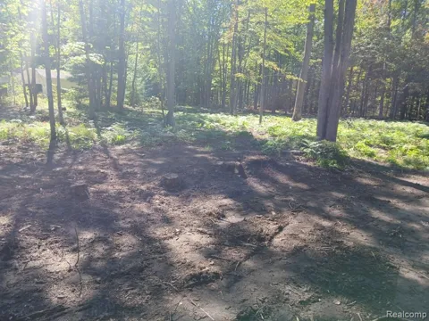 Goldenrod Dr