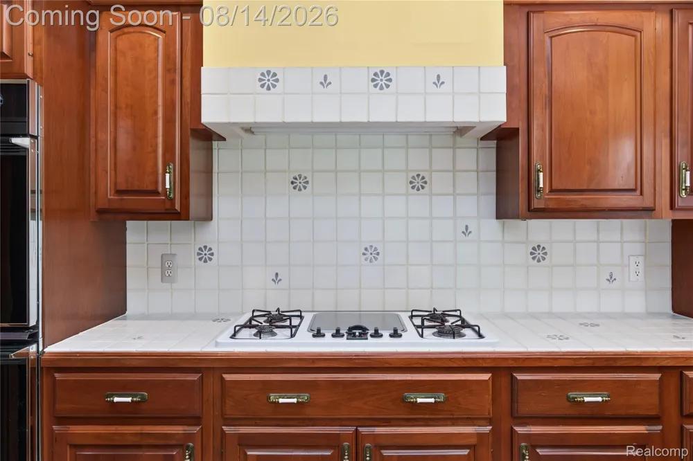 13130 Pine Meadow Drive Tyrone Township, MI 48430