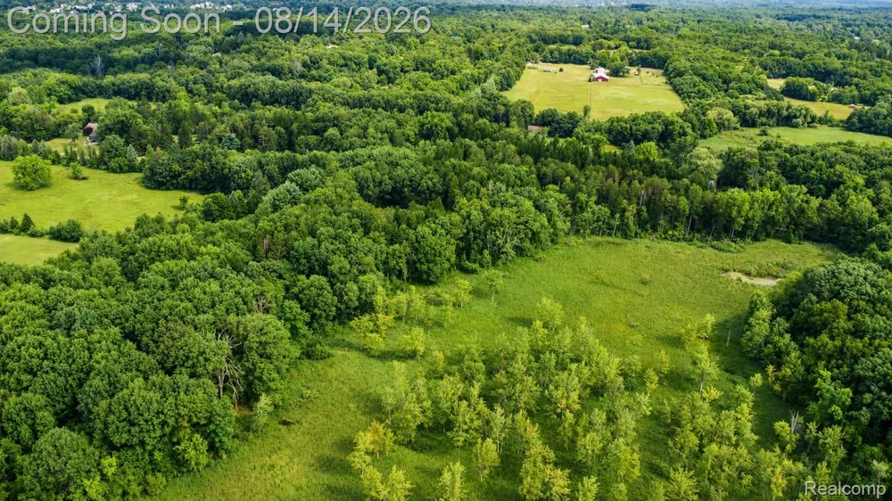 13130 Pine Meadow Drive Tyrone Township, MI 48430