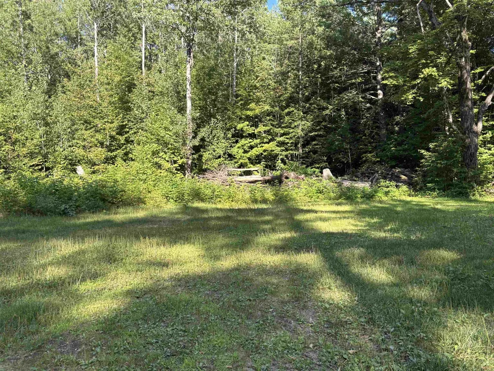 6493 Plainfield Trail Star Township, MI 49730
