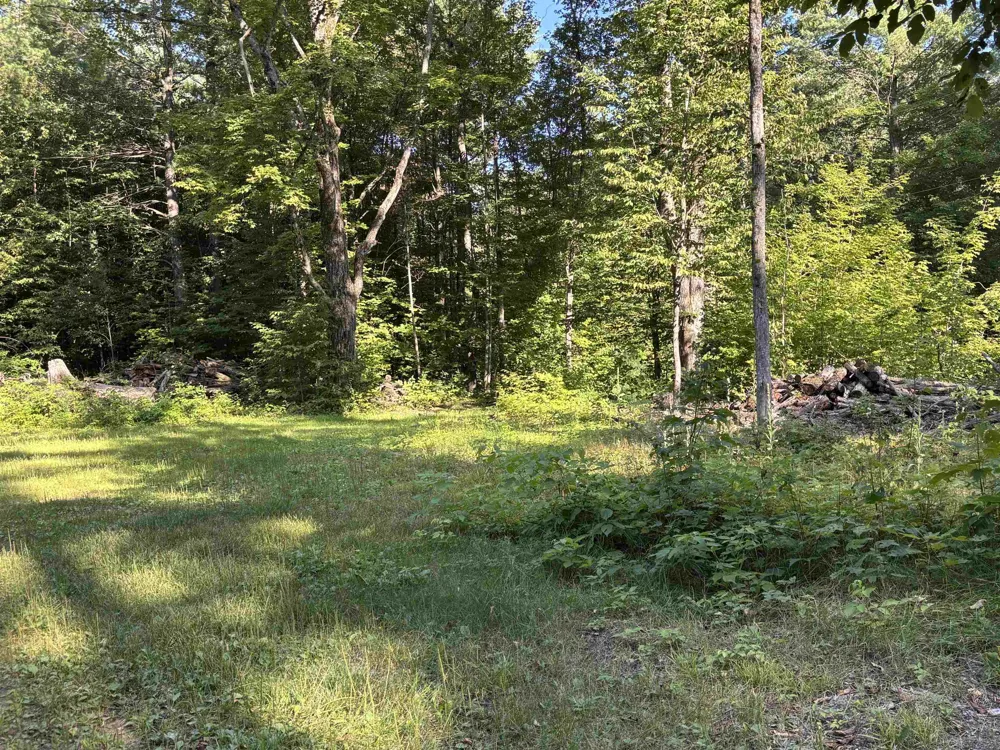 6493 Plainfield Trail Star Township, MI 49730