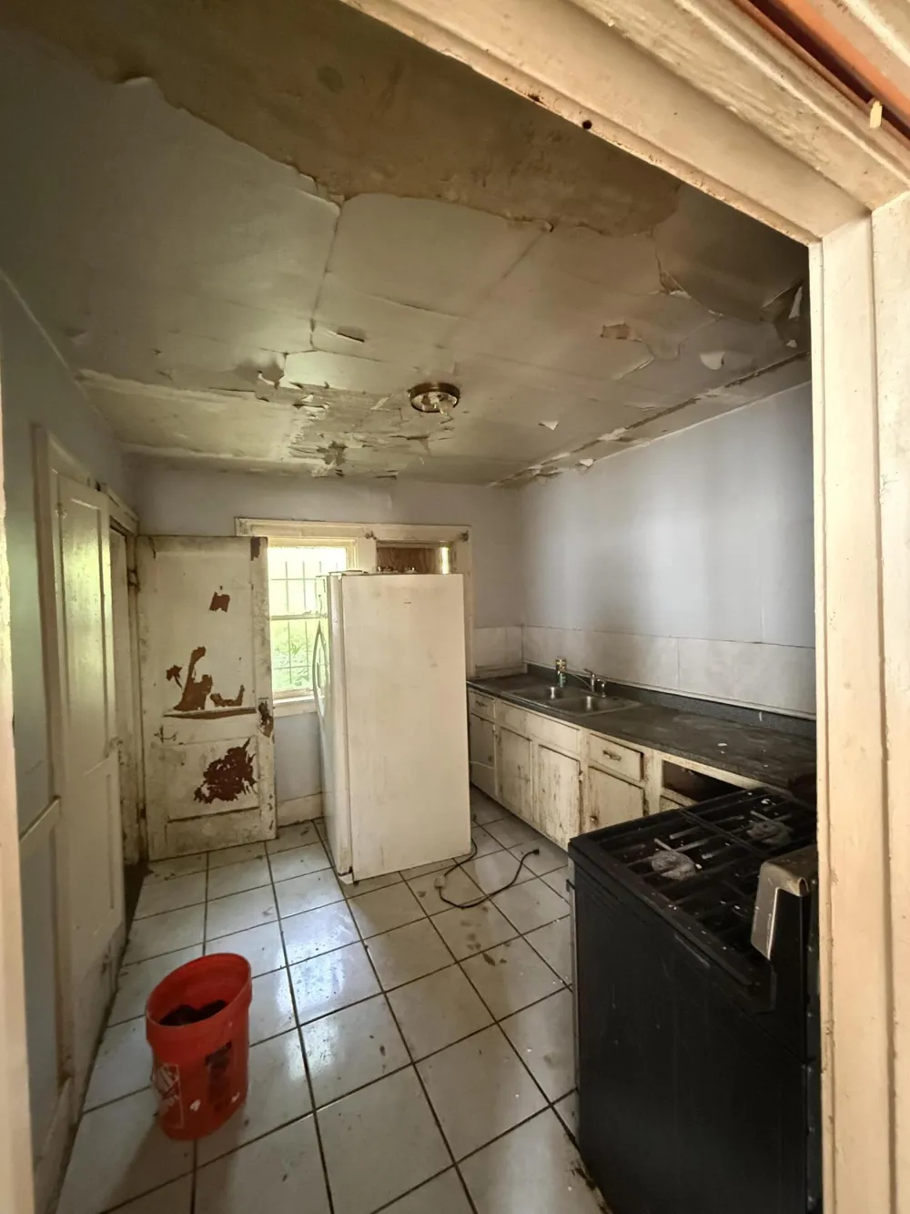 17233 E Goddard Street Detroit City, MI 48212