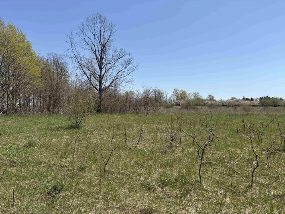 E Lovers Lane Suttons Bay Township, MI 49682