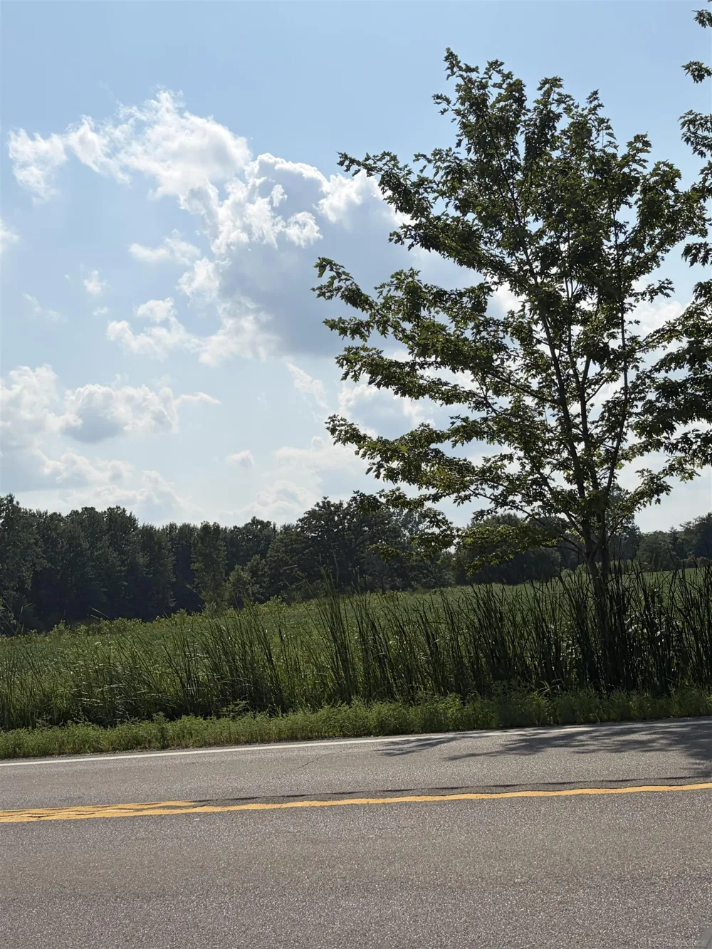 Capac Road Armada Village, MI 48005