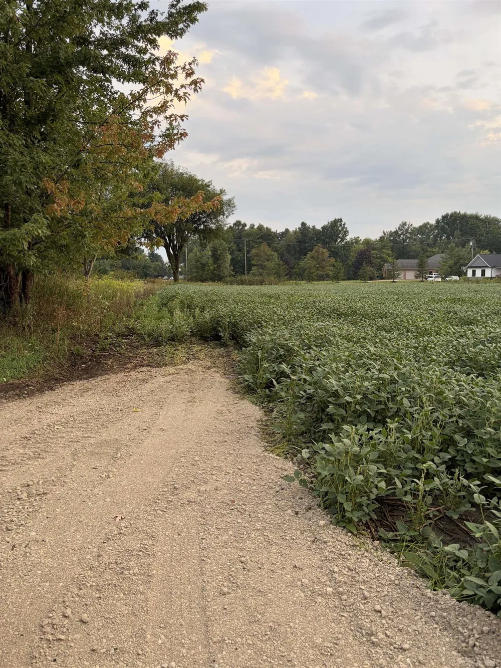 Capac Road Armada Village, MI 48005