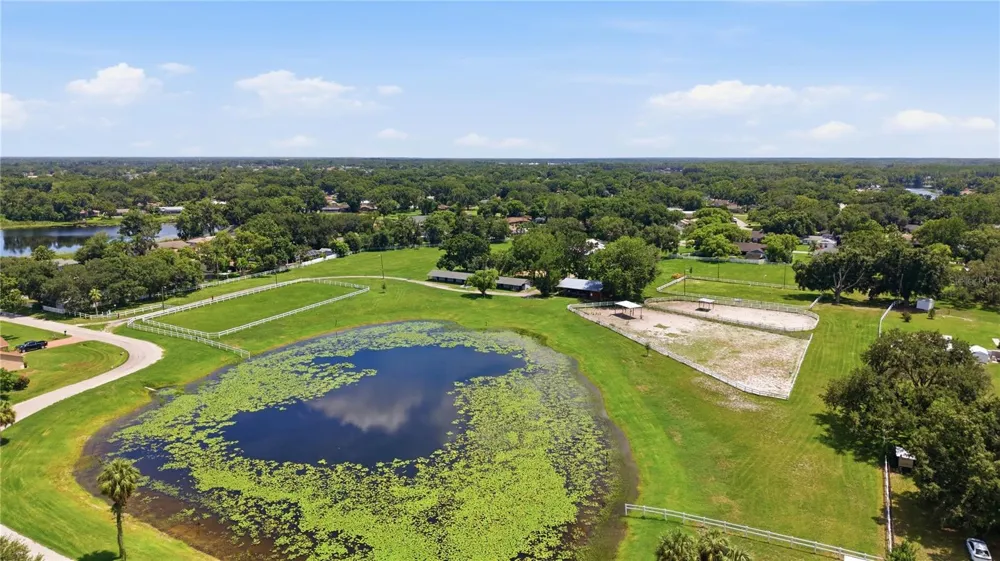 22506 SHORESIDE DRIVE Land O Lakes, FL 34639