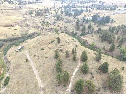 46341 Needleleaf Lane
