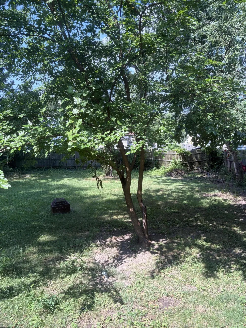 3166 Platt Road Ann Arbor, MI 48108