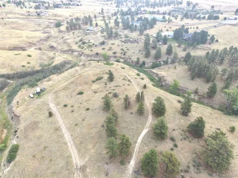 46341 Needleleaf Lane