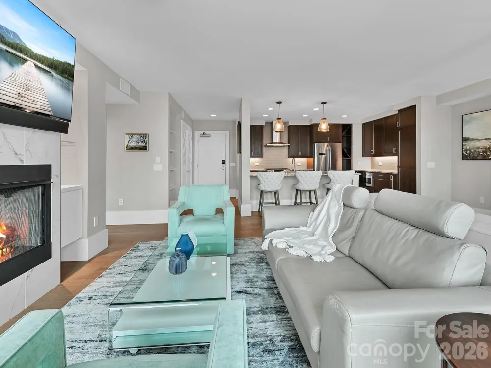 7 Patton Avenue #1805 Asheville, NC 28801