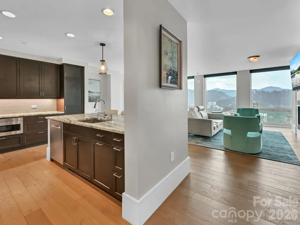 7 Patton Avenue #1805 Asheville, NC 28801