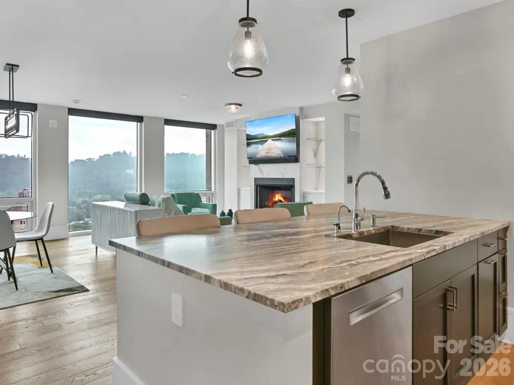7 Patton Avenue #1805 Asheville, NC 28801