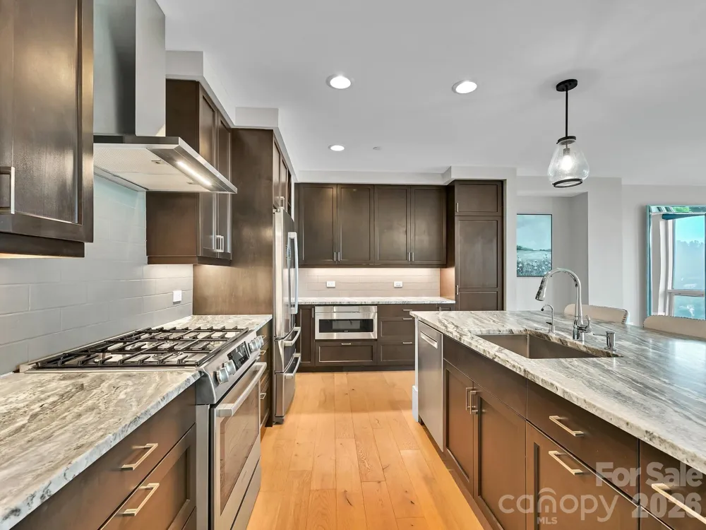 7 Patton Avenue #1805 Asheville, NC 28801