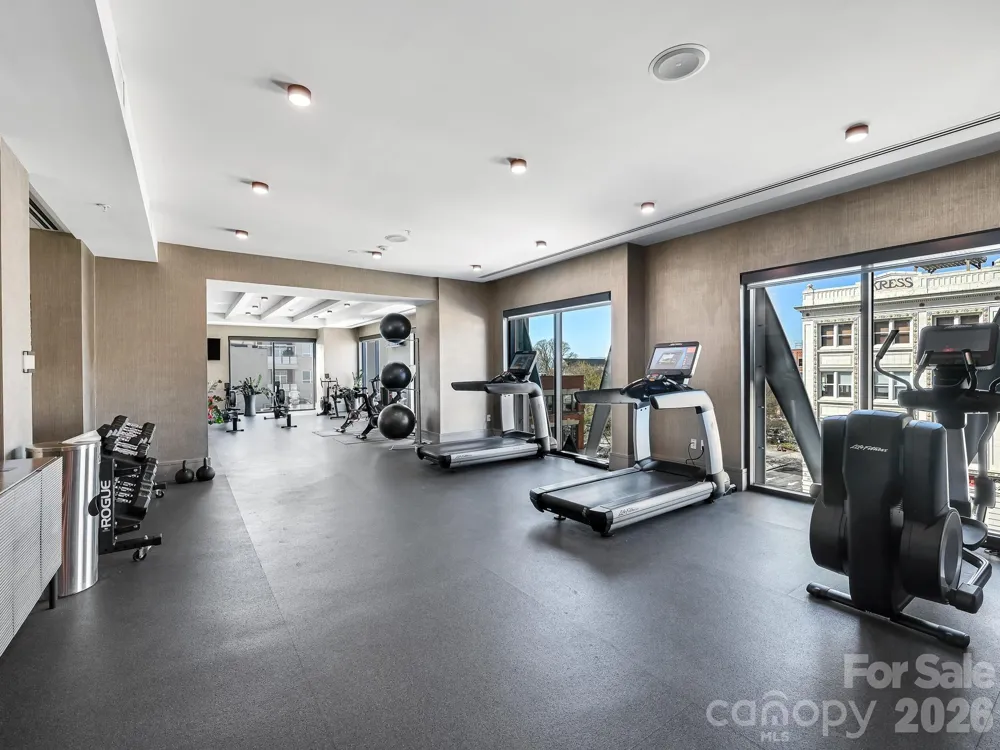 7 Patton Avenue #1805 Asheville, NC 28801