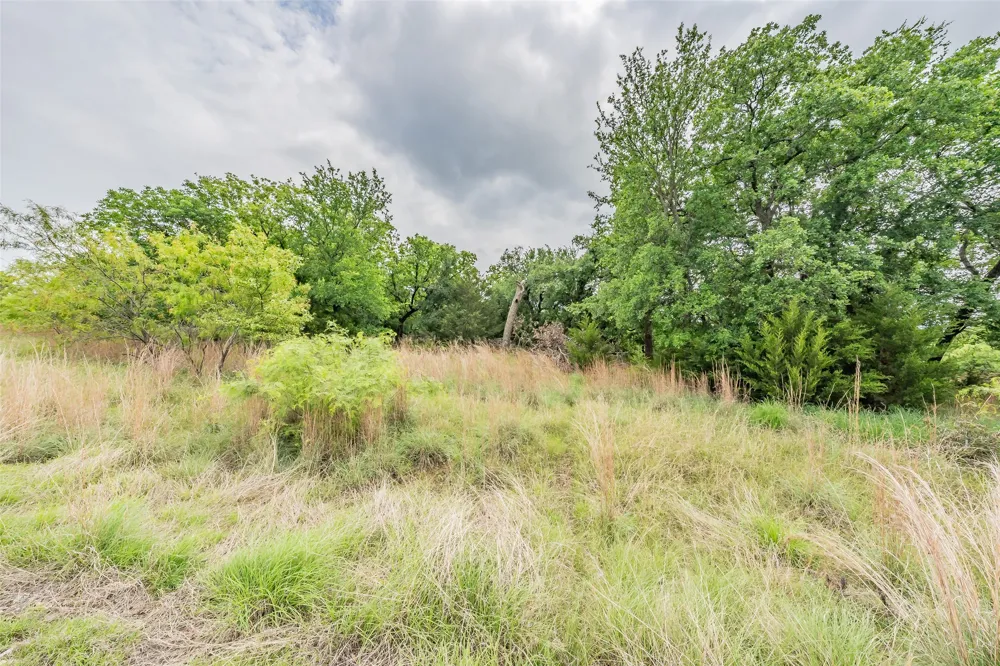 Cote D Azur Drive Chico, TX 76431