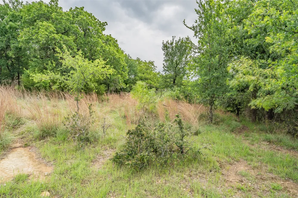 Cote D Azur Drive Chico, TX 76431