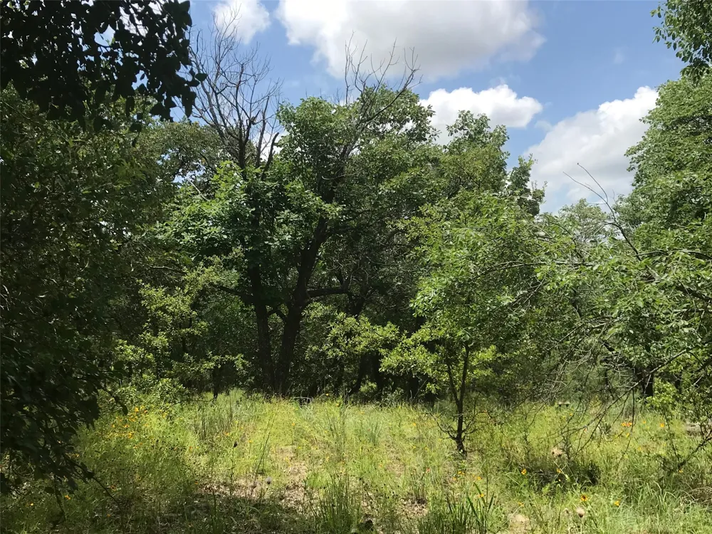 Cote D Azur Drive Chico, TX 76431