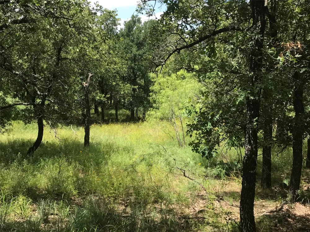 Cote D Azur Drive Chico, TX 76431