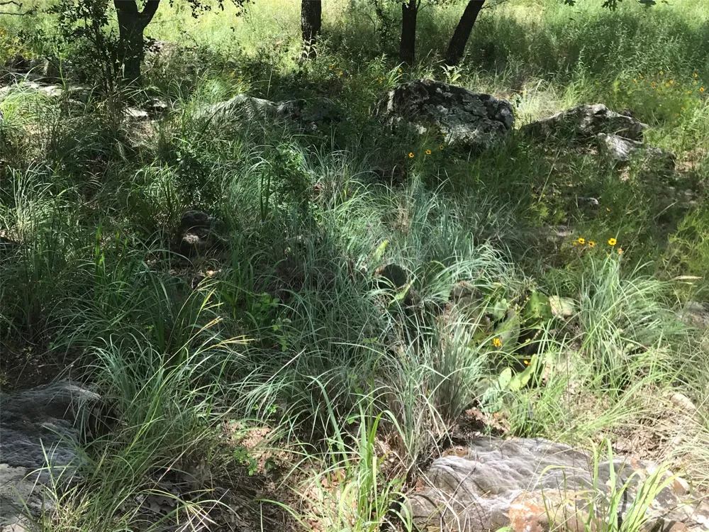 Cote D Azur Drive Chico, TX 76431