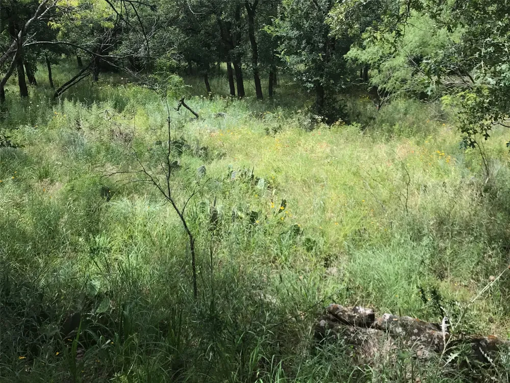 Cote D Azur Drive Chico, TX 76431