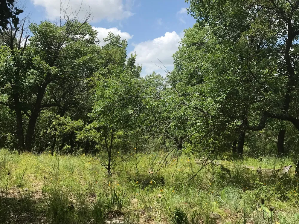 Cote D Azur Drive Chico, TX 76431