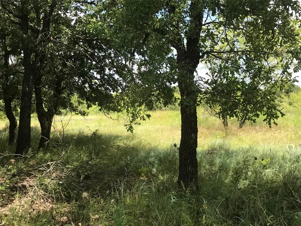 Cote D Azur Drive Chico, TX 76431