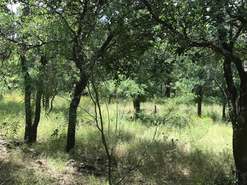Cote D Azur Drive Chico, TX 76431