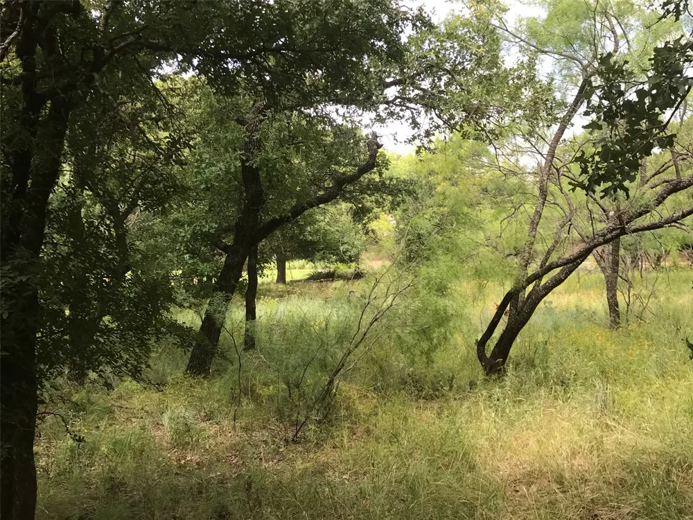 Cote D Azur Drive Chico, TX 76431