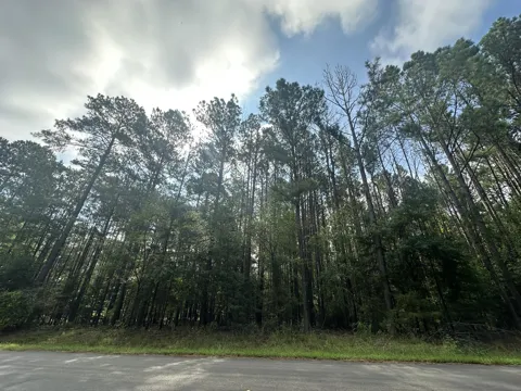 Lot 1 Dogwood Lane