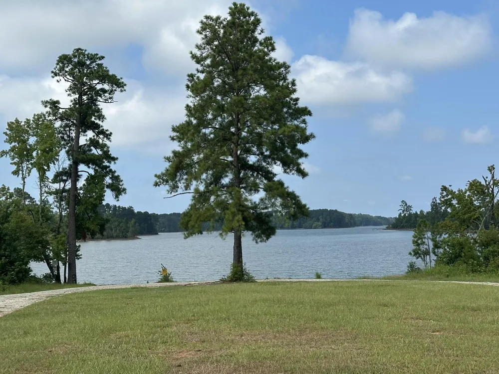 Lot 1 Dogwood Lane Parksville, SC 29845