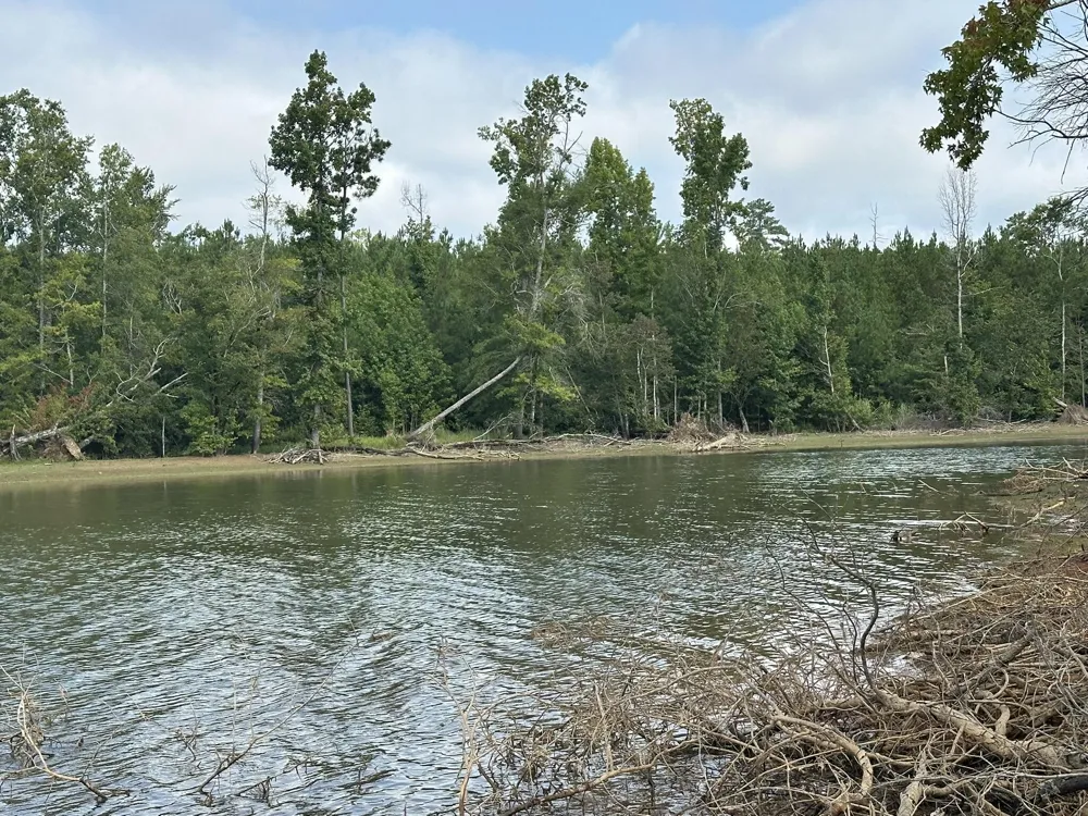 Lot 2 Dogwood Lane Parksville, SC 29845