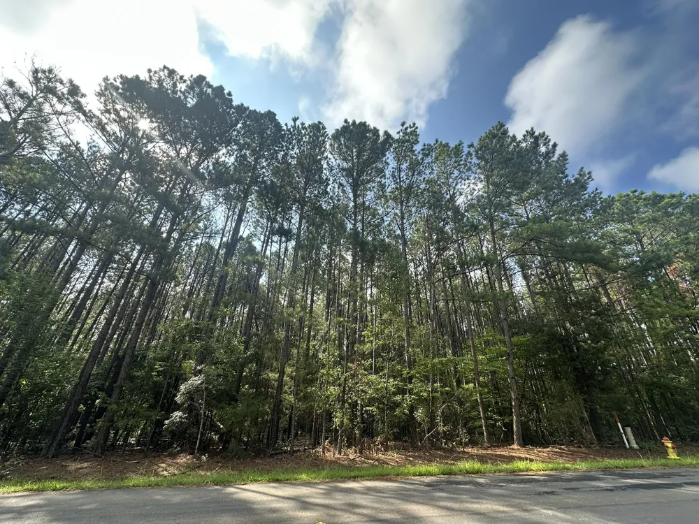 Lot 2 Dogwood Lane Parksville, SC 29845