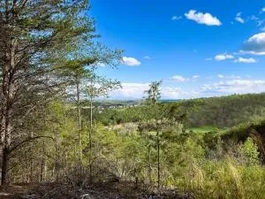 0 Owl Hollow Road SW