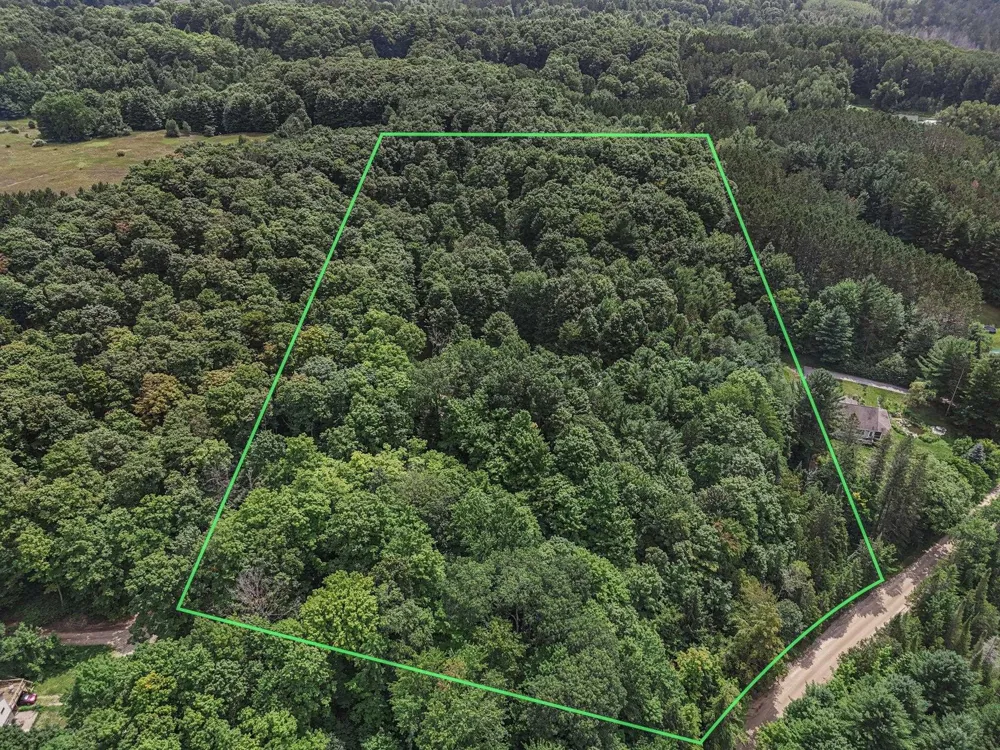 5354 Cedar Valley Road Long Lake Township, MI 49684