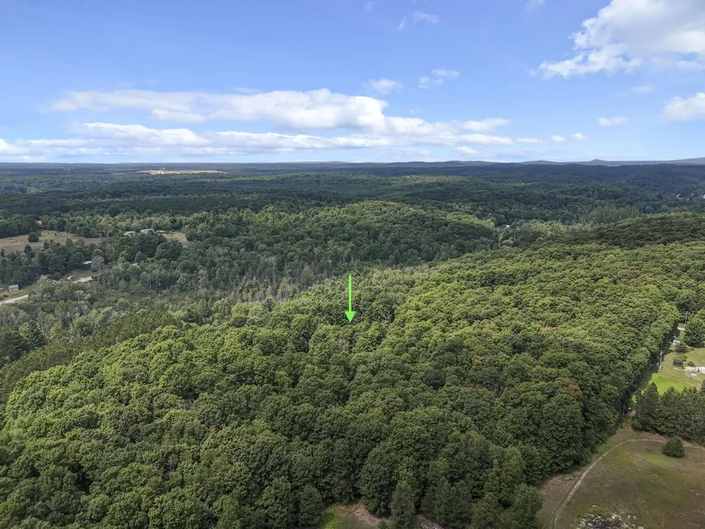5354 Cedar Valley Road Long Lake Township, MI 49684