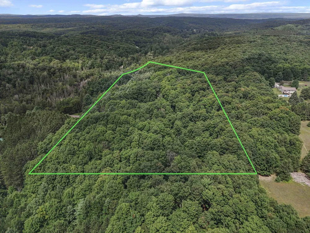 5354 Cedar Valley Road Long Lake Township, MI 49684