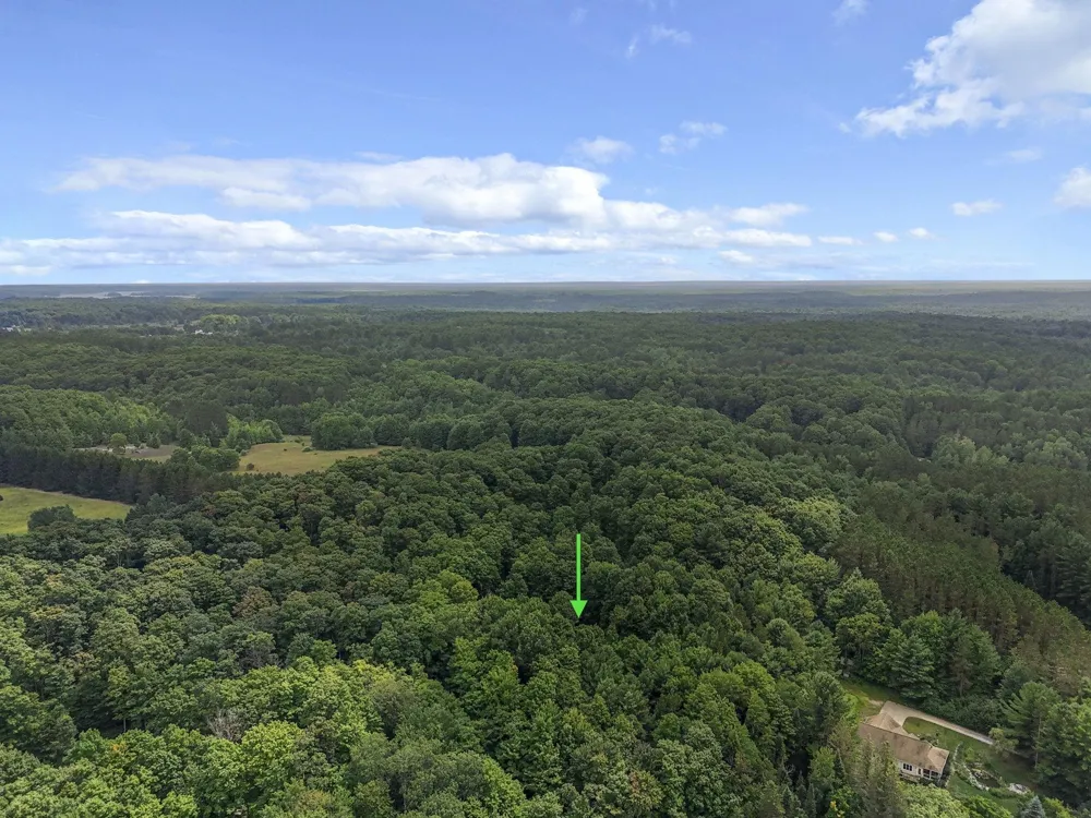 5354 Cedar Valley Road Long Lake Township, MI 49684