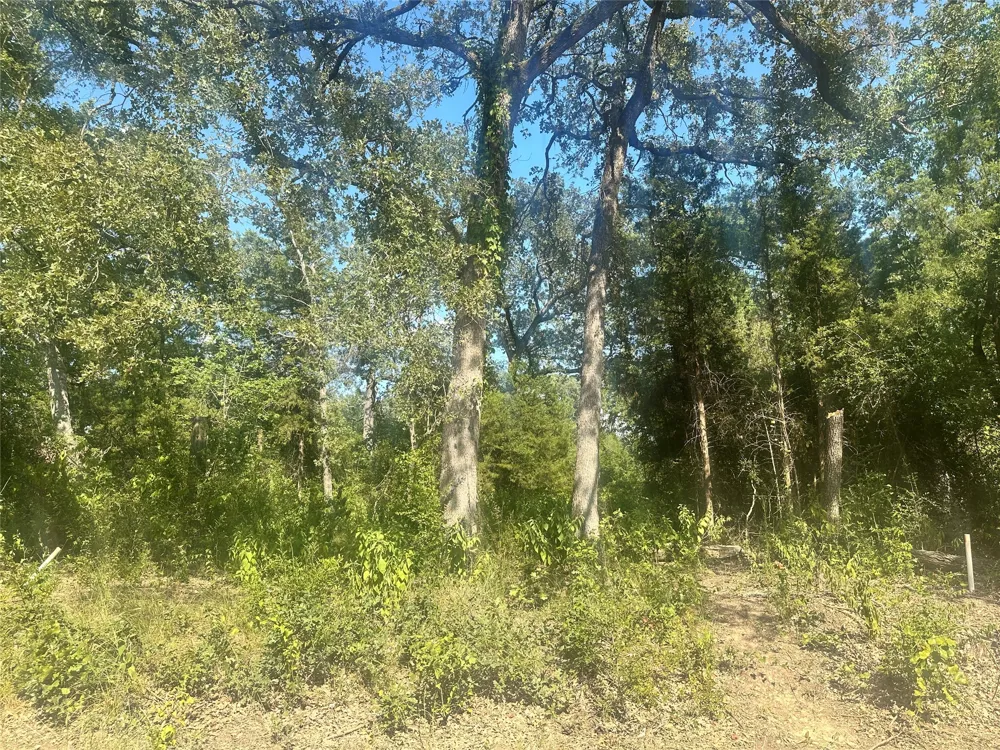 Longhorn Road Mabank, TX 75156