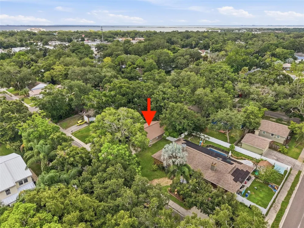 1140 DR ML KING JR STREET Safety Harbor, FL 34695