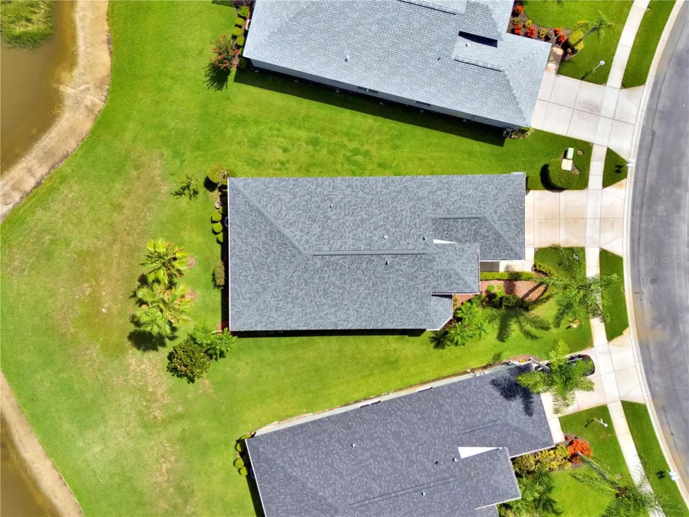 1741 ARBOR KNOLL LOOP Trinity, FL 34655