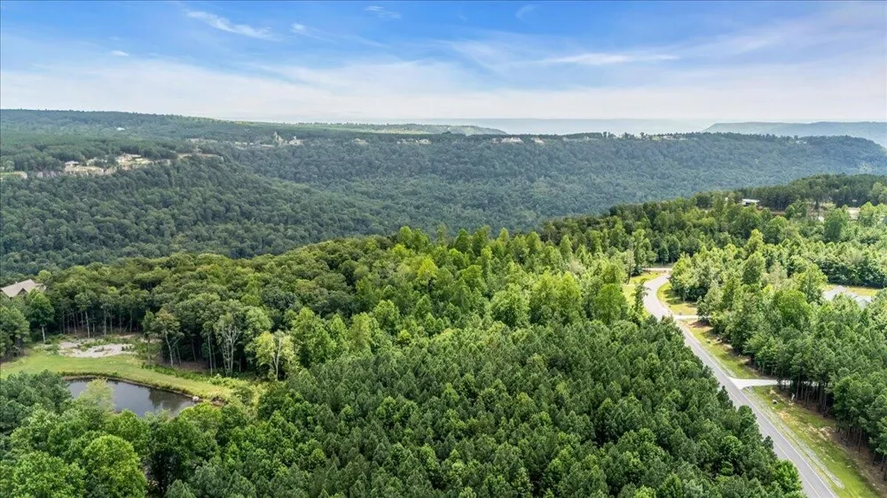 3685 Crockett Point Jasper, TN 37347