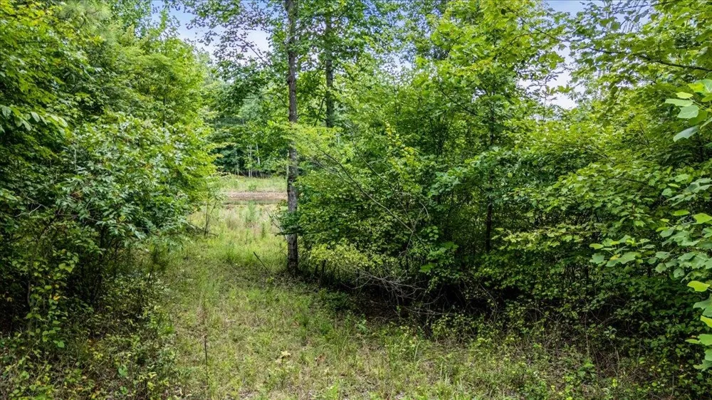 3685 Crockett Point Jasper, TN 37347